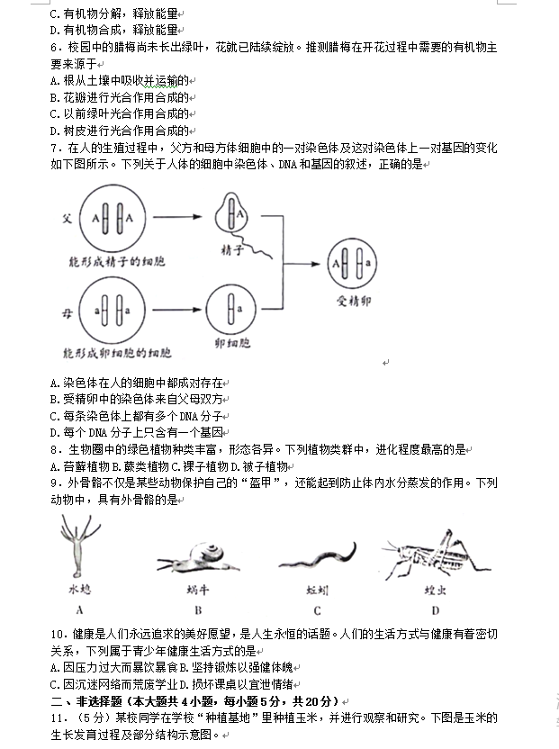 2023年安徽中考生物试卷真题及答案