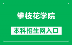 攀枝花学院本科招生网网址（https://zsw.pzhu.cn/）