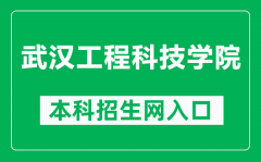 武汉工程科技学院本科招生网网址（https://zs.wuhues.com/）