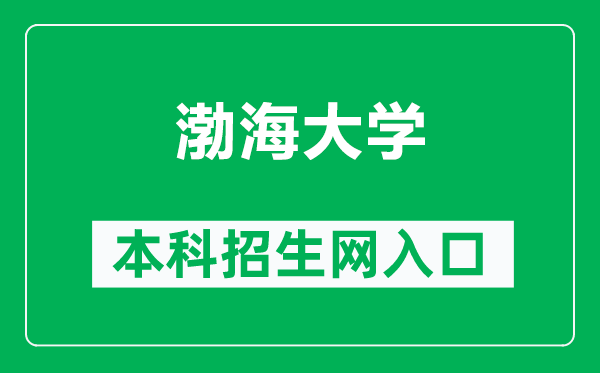 渤海大学本科招生网网址（https://zsxx.bhu.edu.cn/）