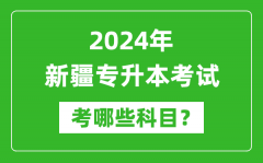 2024年新疆专升本需要考哪些科目？