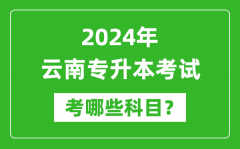2024年云南专升本需要考哪些科目？