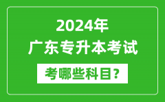 2024年广东专升本需要考哪些科目？