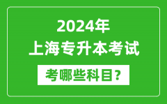 2024年上海专升本需要考哪些科目？