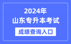 2024年山东专升本考试成绩查询入口（https://www.sdzk.cn/）