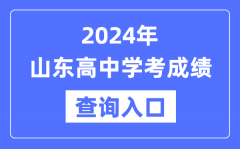 2024年山东高中学考成绩查询入口网址_高中会考成绩怎么查？