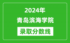 青岛滨海学院录取分数线2024年是多少分(附各省录取最低分)