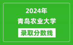 青岛农业大学录取分数线2024年是多少分(附各省录取最低分)