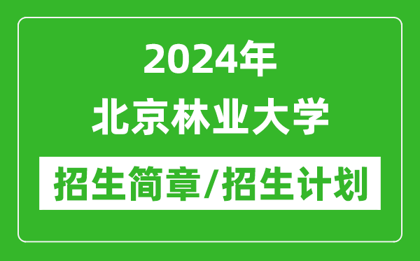 2024年北京林业大学研究生招生简章及各专业招生计划人数