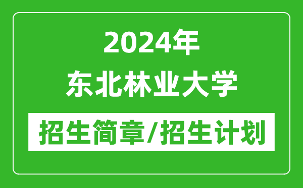 2024年东北林业大学研究生招生简章及各专业招生计划人数