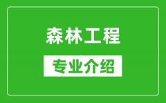 森林工程考研专业介绍及就业前景分析