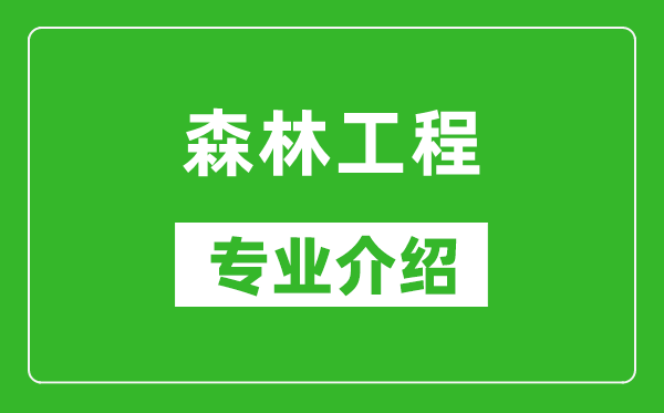 森林工程考研专业介绍及就业前景分析