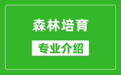 森林培育考研专业介绍及就业前景分析