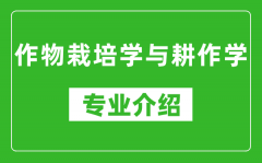 作物栽培学与耕作学考研专业介绍及就业前景分析