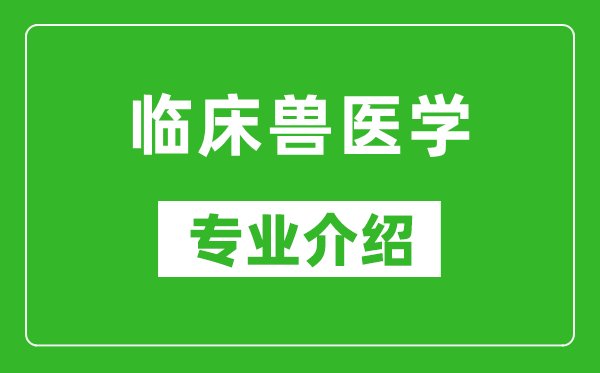 临床兽医学考研专业介绍及就业前景分析