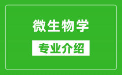 微生物学考研专业介绍及就业前景分析