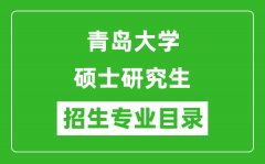 青岛大学2024硕士研究生招生专业目录及考试科目