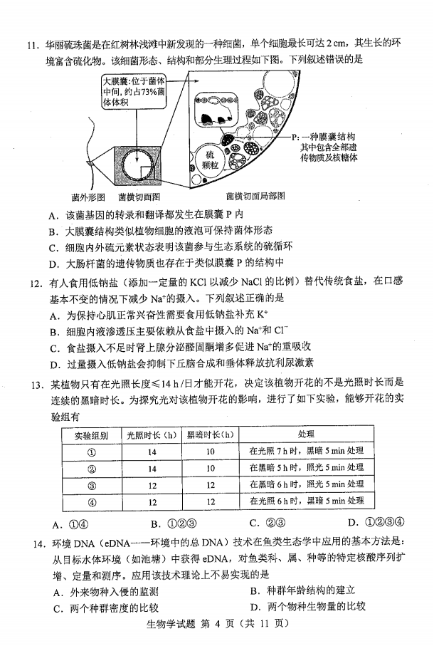 新高考2024九省联考生物试卷及答案解析