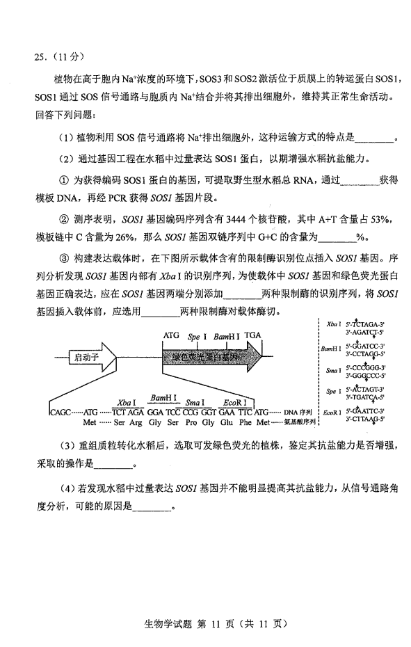 新高考2024九省联考吉林生物试卷及答案解析