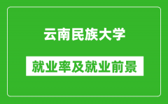 云南民族大学就业率怎么样_就业前景好吗？