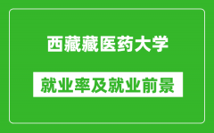 西藏藏医药大学就业率怎么样_就业前景好吗？