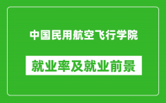 中国民用航空飞行学院就业率怎么样_就业前景好吗？