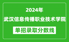 2024年武汉信息传播职业技术学院单招录取分数线