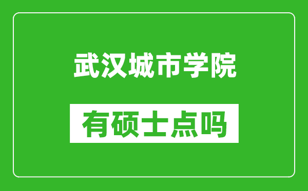 武汉城市学院有硕士点吗?