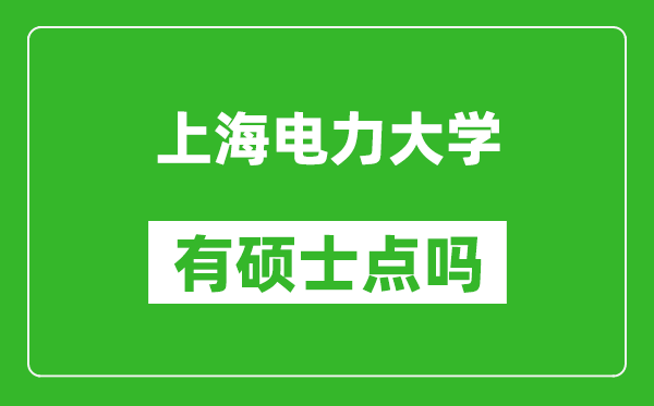 上海电力大学有硕士点吗?