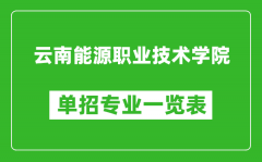 云南能源职业技术学院单招专业一览表