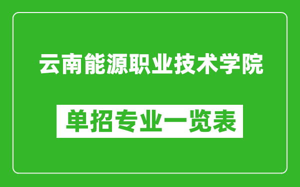 云南能源职业技术学院单招专业一览表