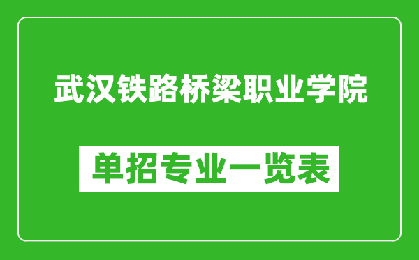 武汉铁路桥梁职业学院单招专业一览表