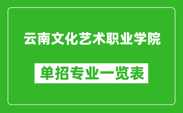 云南文化艺术职业学院单招专业一览表