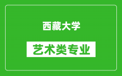 西藏大学艺术类专业一览表