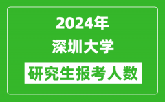 2024年深圳大学研究生报考人数