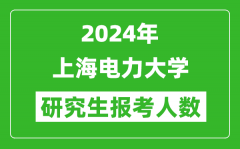 2024年上海电力大学研究生报考人数