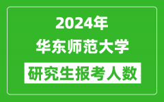 2024年华东师范大学研究生报考人数