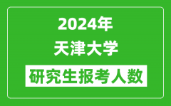 2024年天津大学研究生报考人数