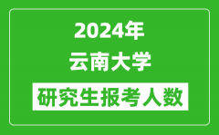 2024年云南大学研究生报考人数