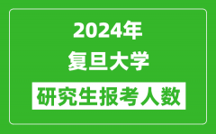 2024年复旦大学研究生报考人数