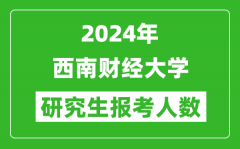 2024年西南财经大学研究生报考人数