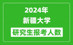 2024年新疆大学研究生报考人数