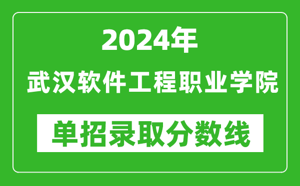 2024年武汉软件工程职业学院单招录取分数线