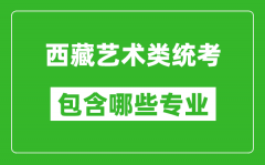 西藏艺术类统考包含哪些专业？