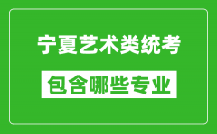 宁夏艺术类统考包含哪些专业？