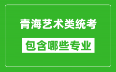 青海艺术类统考包含哪些专业？