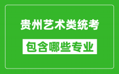 贵州艺术类统考包含哪些专业？