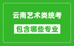 云南艺术类统考包含哪些专业？