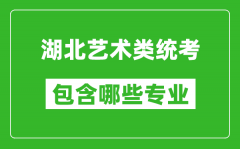 湖北艺术类统考包含哪些专业？