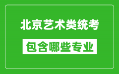 北京艺术类统考包含哪些专业？